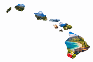 Telepsychiatry and psychiatric medication management across Hawaii, Valiant Mental Health