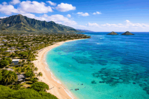 Kailua Hawaii online treatment valiant