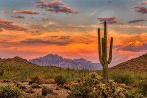 Phoenix Arizona treatment