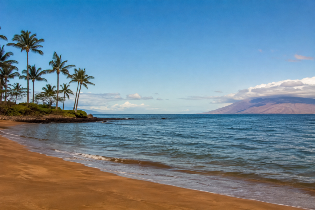 Aloha Doesn't Fix Everything: Separation Anxiety in Kihei Kids